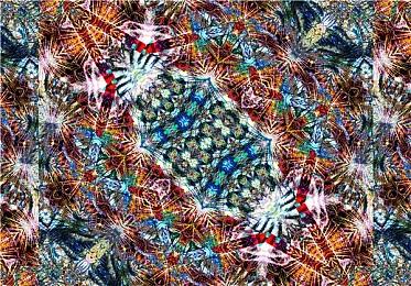 坤哥爆料：《崩坏：星穹铁道》将推出PS5实体版 定价40美元